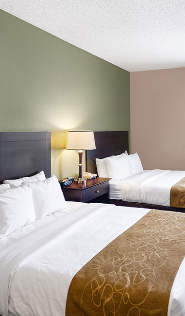 Comfort Suites Las Colinas Center Accommodations