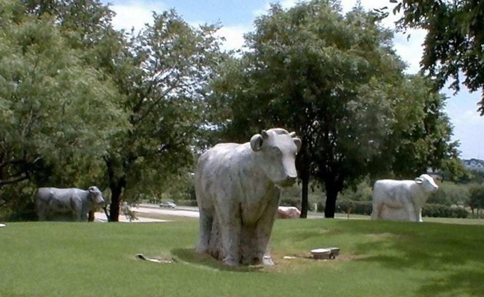 Irving’s Marble Cow Sculptures